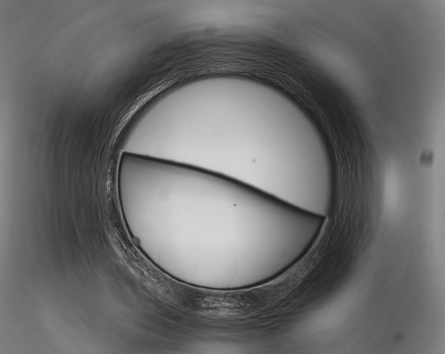 X0000116370435200912021013