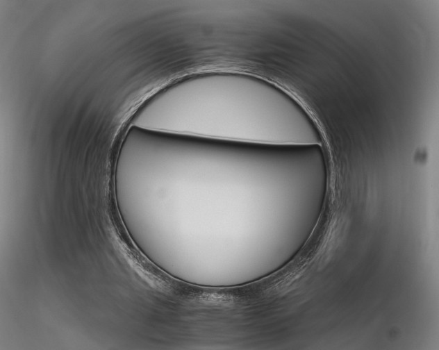 X0000116370437200912021013