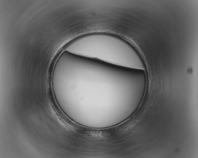 X0000116370439200912021013