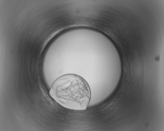 X0000116370440200912021013