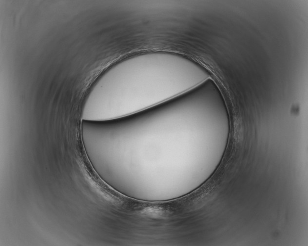 X0000116370441200912021013