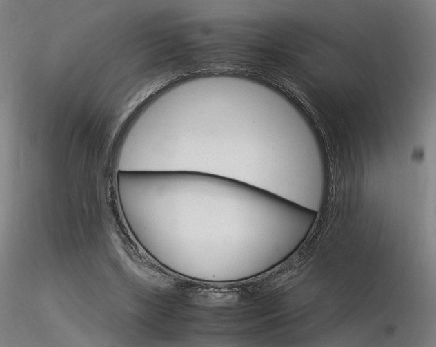X0000116370443200912021013