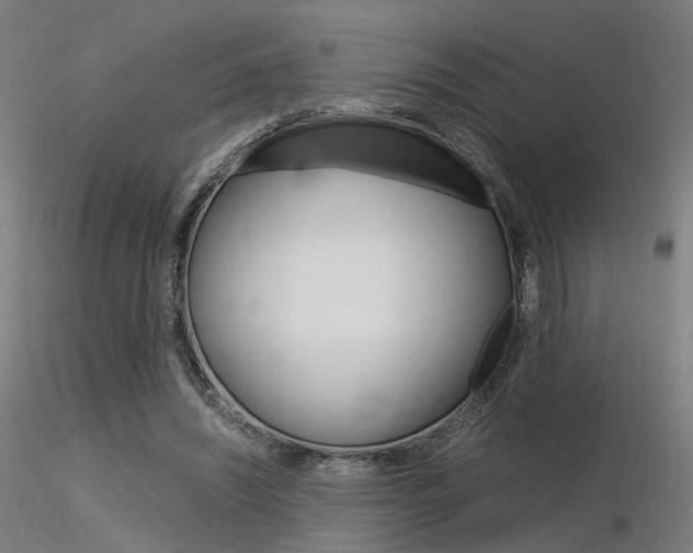 X0000116370444200912021013