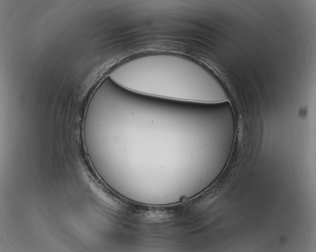 X0000116370445200912021013