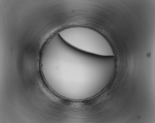X0000116370446200912021013