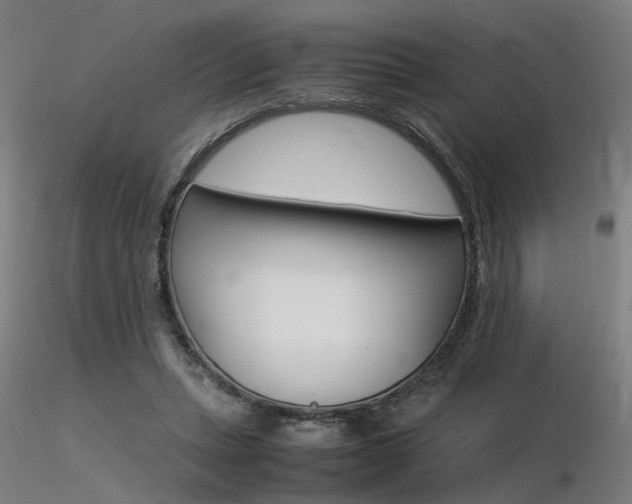 X0000116370447200912021013