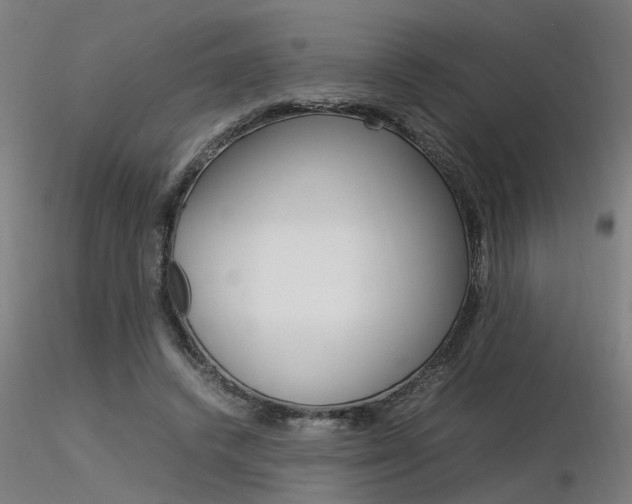 X0000116370448200912021013