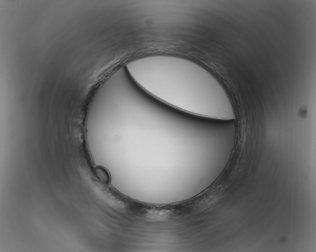 X0000116370450200912021013