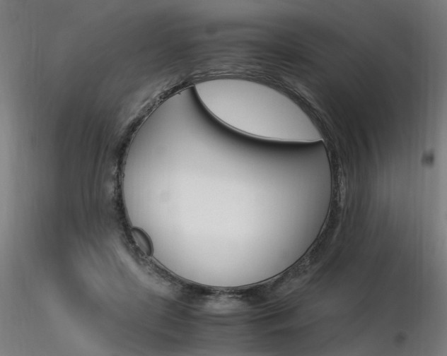 X0000116370451200912021013