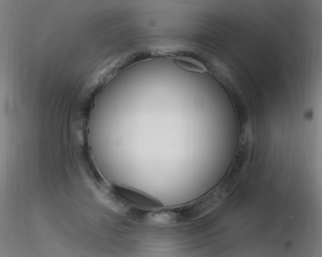 X0000116370452200912021013