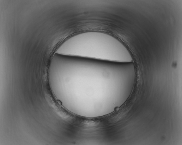 X0000116370453200912021013