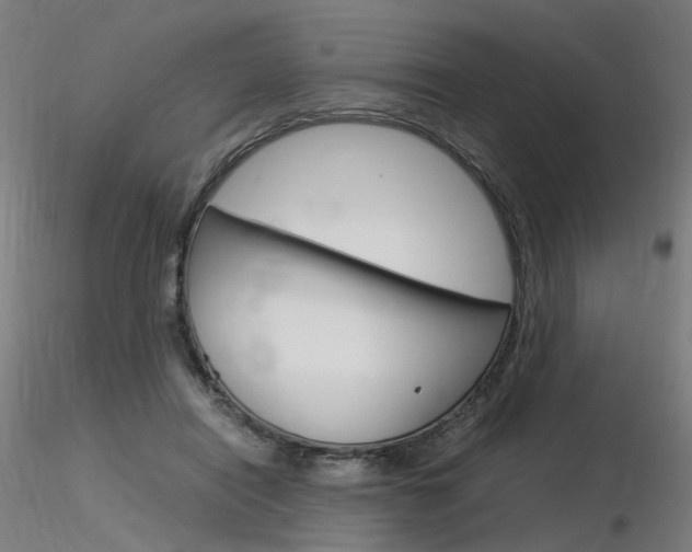 X0000116370454200912021013