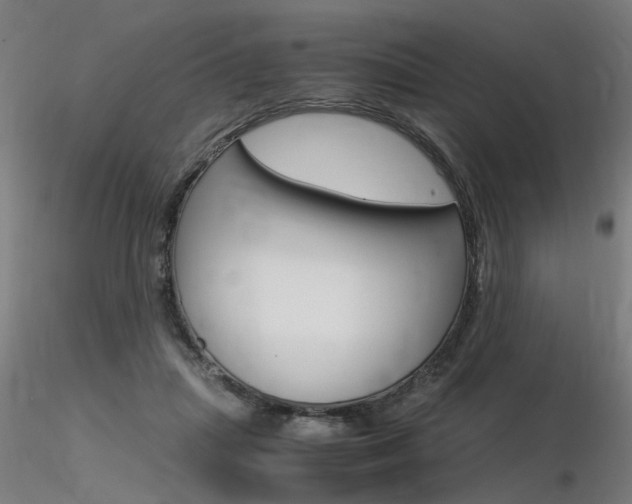 X0000116370455200912021013
