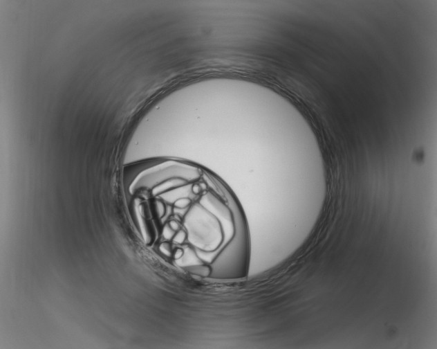 X0000116370456200912021013