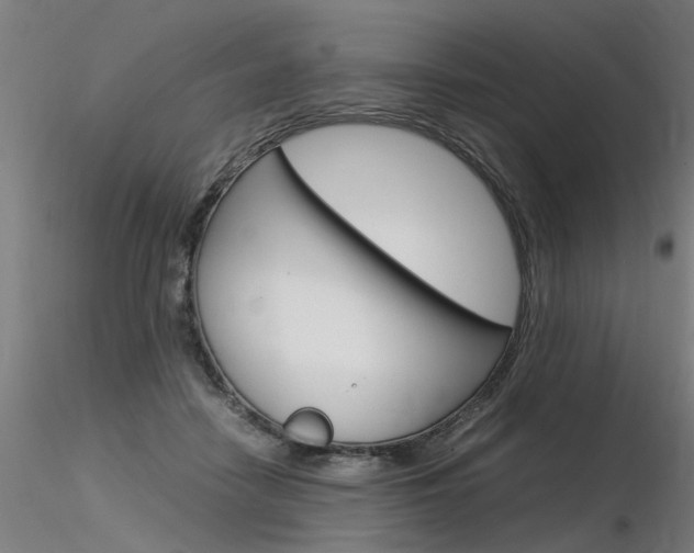 X0000116370458200912021013