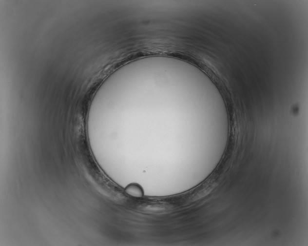 X0000116370459200912021013