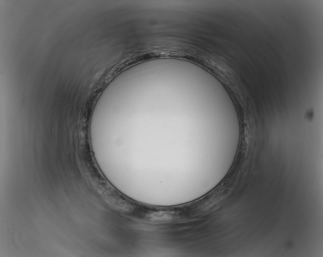 X0000116370461200912021014