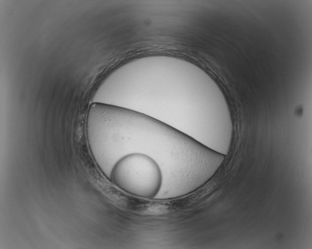 X0000116370462200912021014