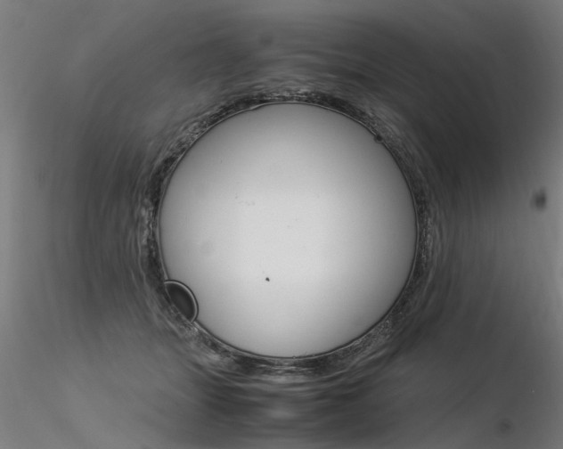 X0000116370463200912021014