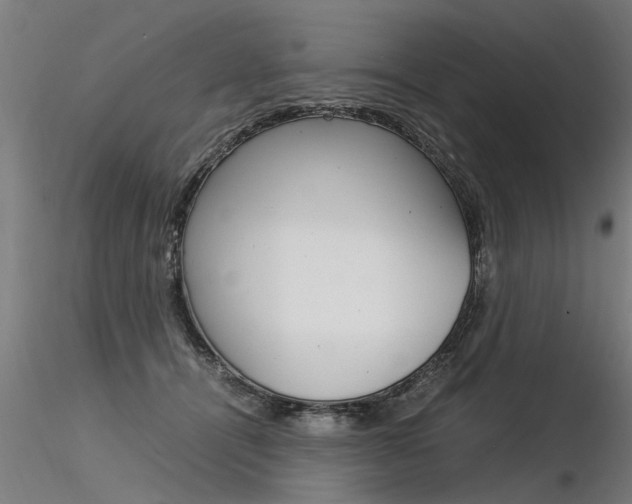 X0000116370464200912021014