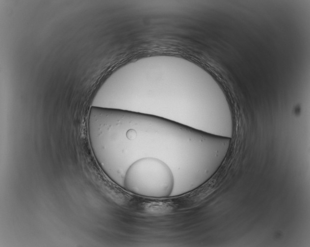 X0000116370465200912021014