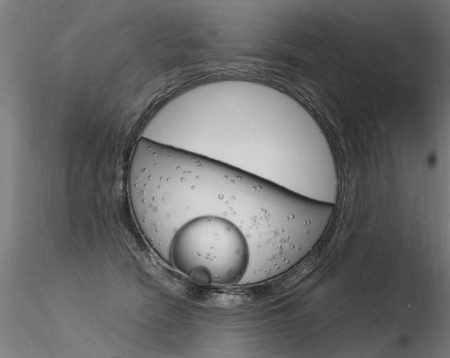 X0000116370466200912021014