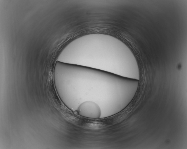 X0000116370467200912021014