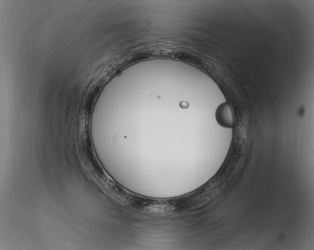 X0000116370468200912021014