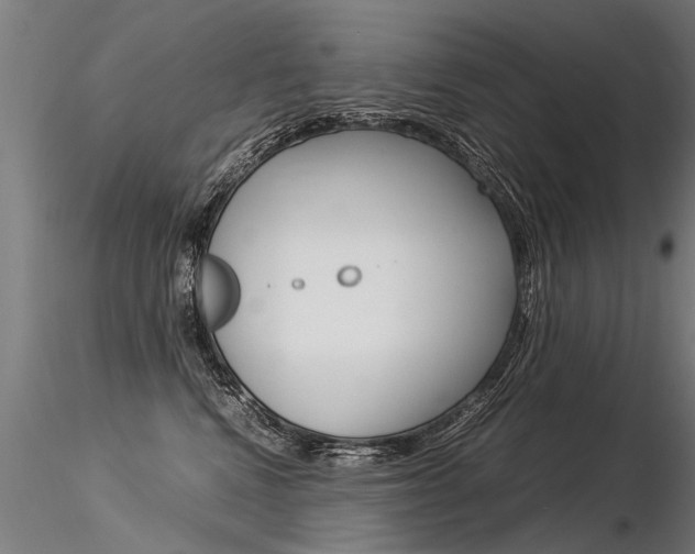 X0000116370472200912021014