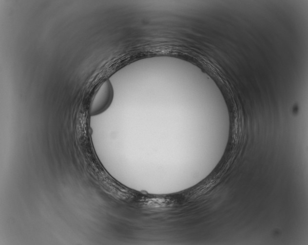 X0000116370473200912021014