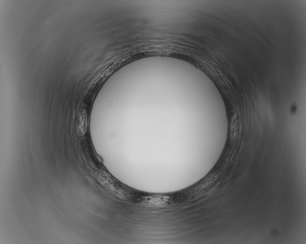 X0000116370474200912021014