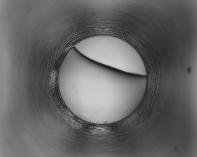 X0000116370475200912021014