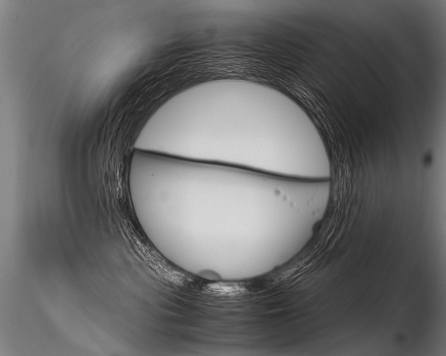 X0000116370477200912021014