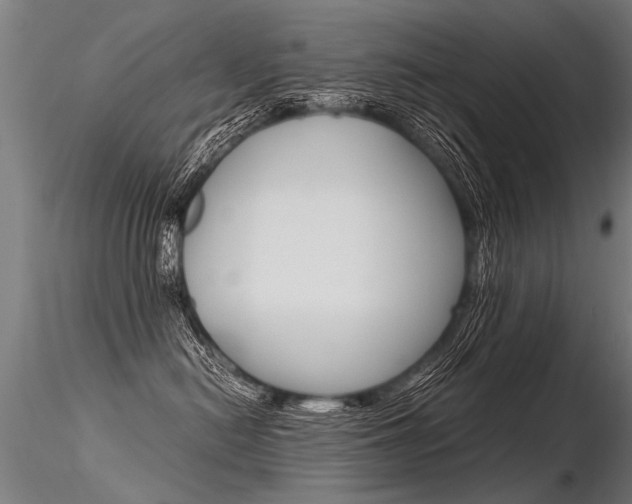 X0000116370478200912021014