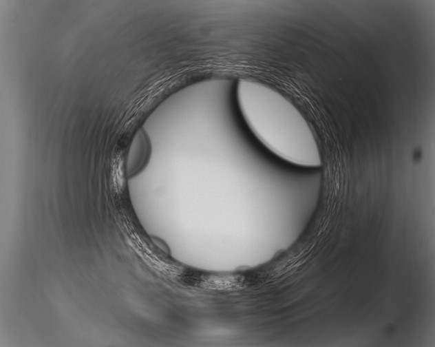 X0000116370479200912021014