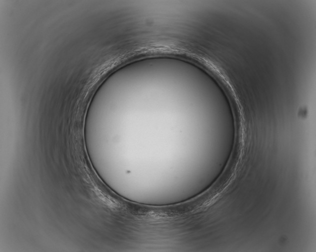 X0000116370481200912021013