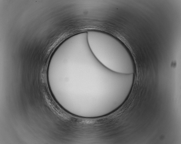 X0000116370482200912021013