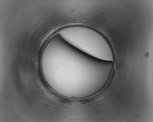 X0000116370483200912021013