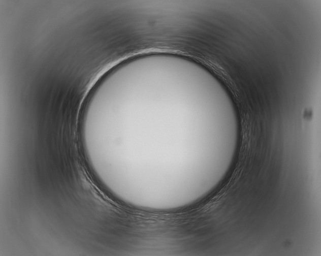 X0000116370484200912021013