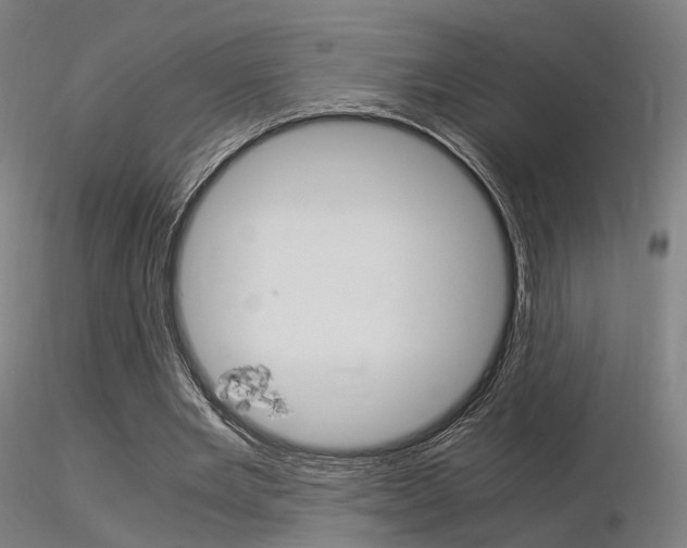 X0000116370485200912021013