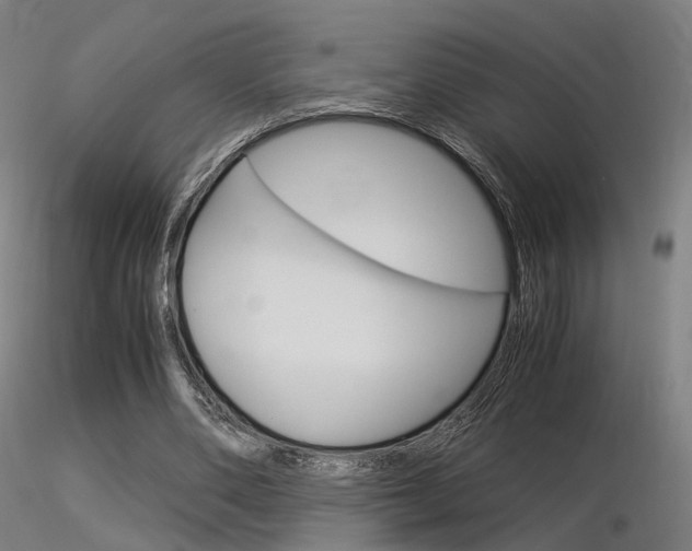 X0000116370486200912021013