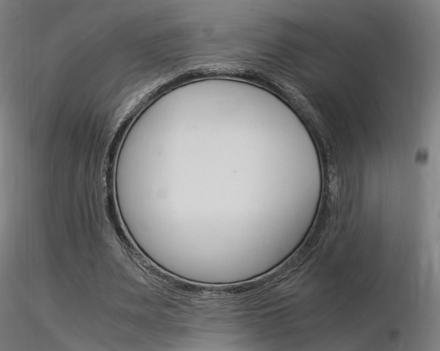 X0000116370487200912021013