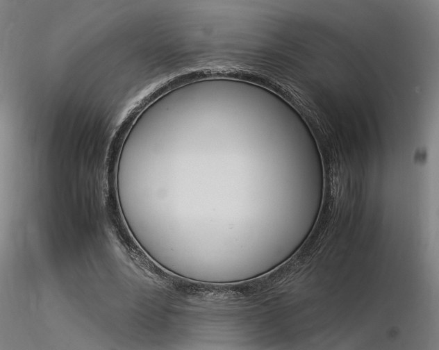 X0000116370488200912021013