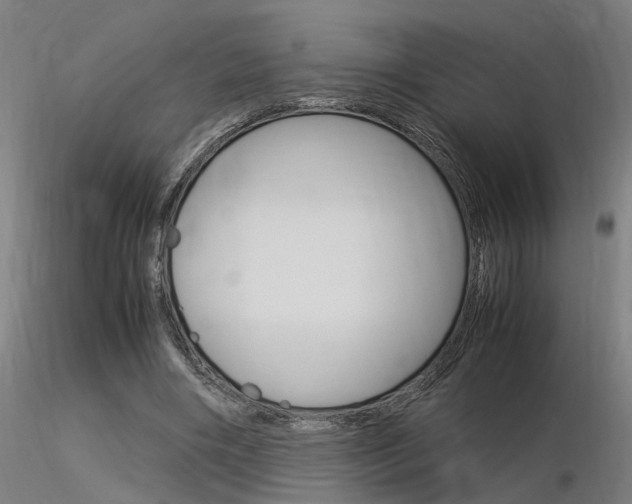 X0000116370490200912021013