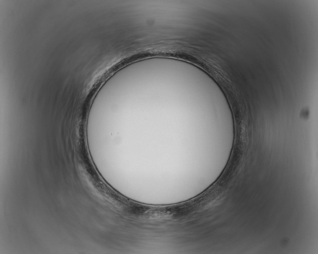 X0000116370491200912021013