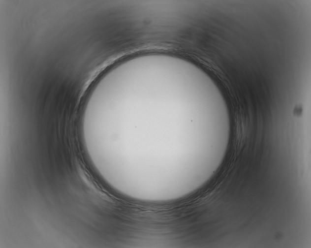 X0000116370492200912021013