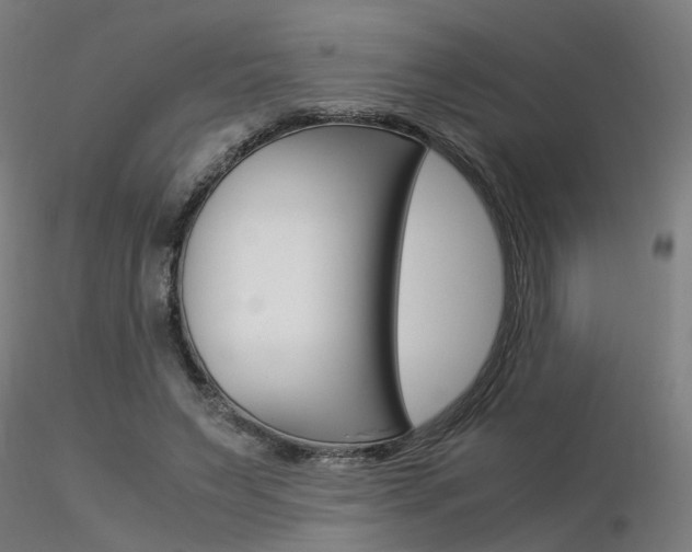 X0000116370495200912021013