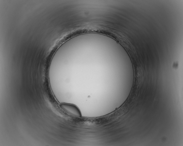 X0000116370496200912021013
