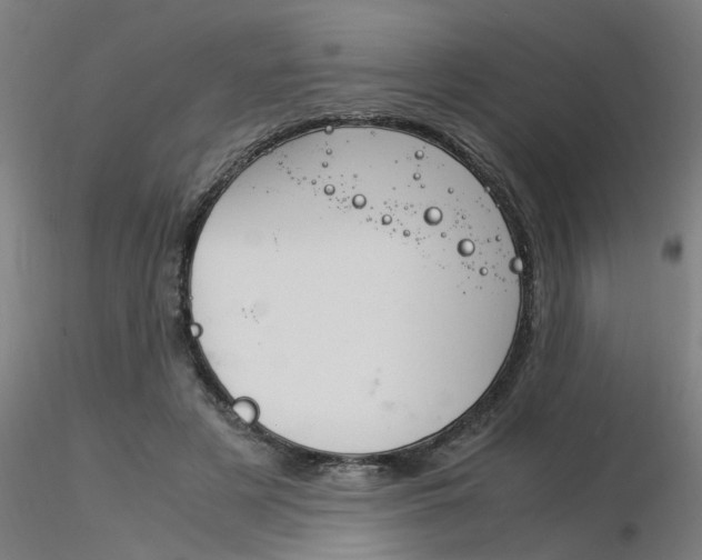 X0000116370497200912021013