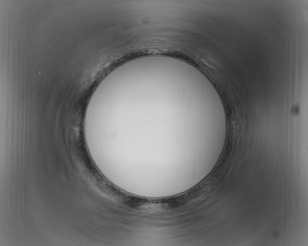 X0000116370499200912021013